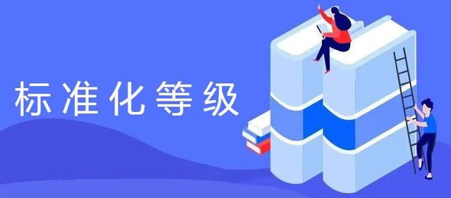 GB/T 15496标准化等级认证证书概况